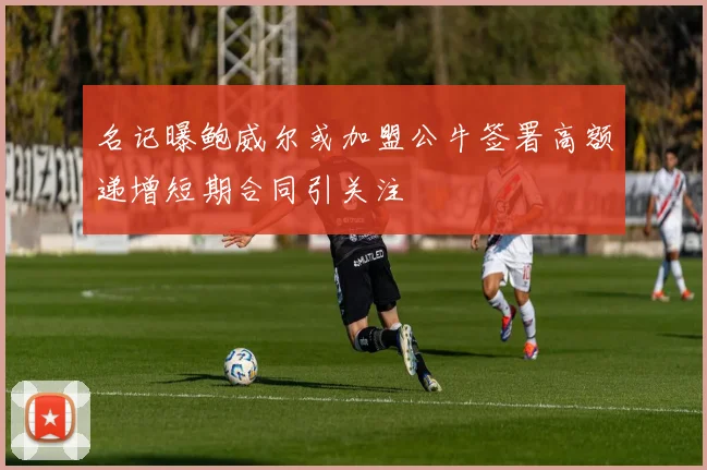 名记曝鲍威尔或加盟公牛签署高额递增短期合同引关注