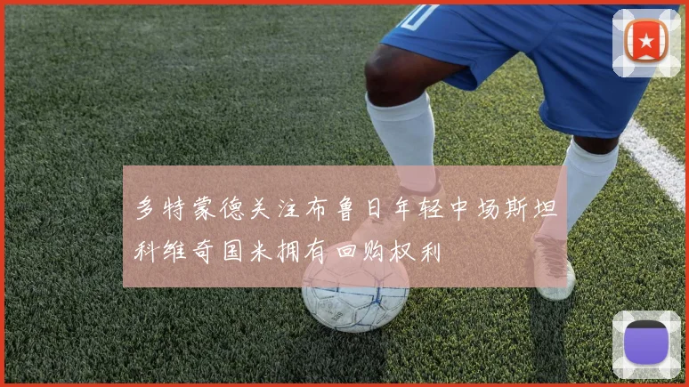 多特蒙德关注布鲁日年轻中场斯坦科维奇国米拥有回购权利